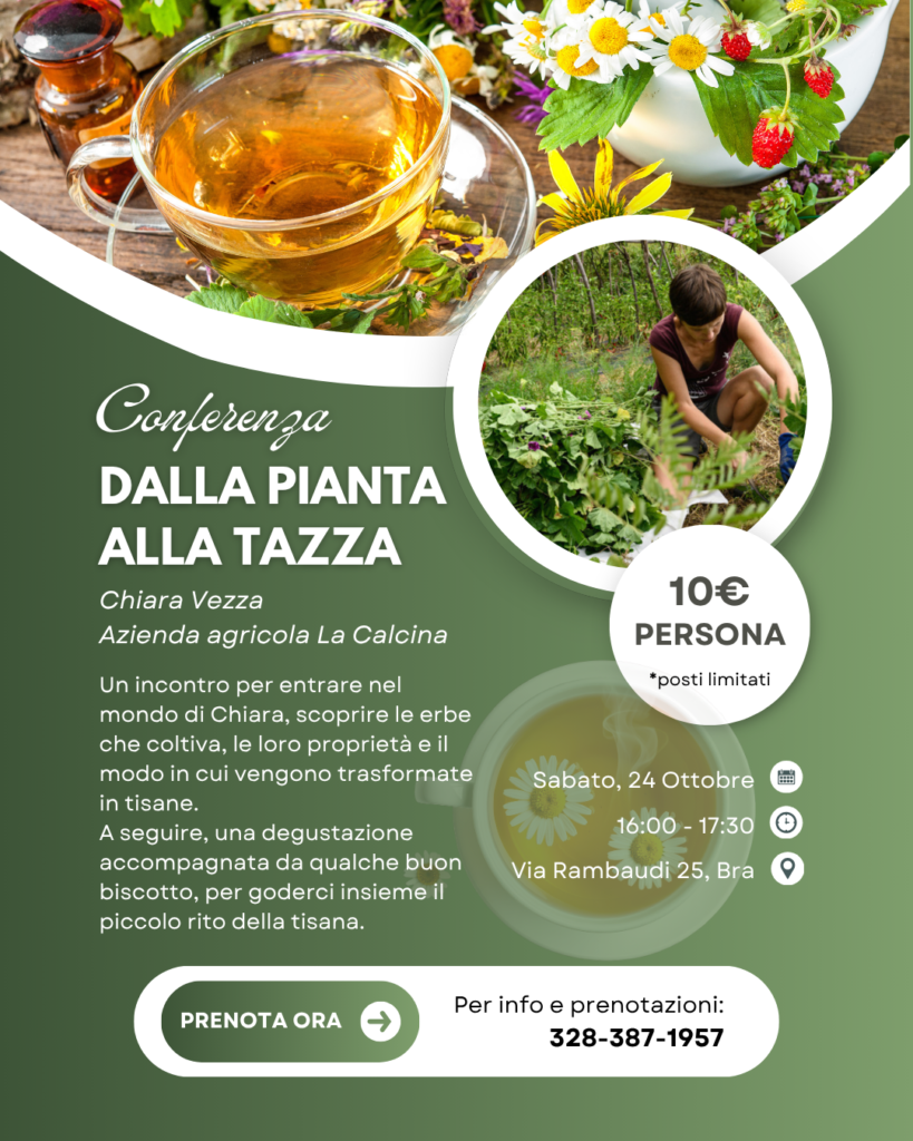 Dalla pianta alla tazza